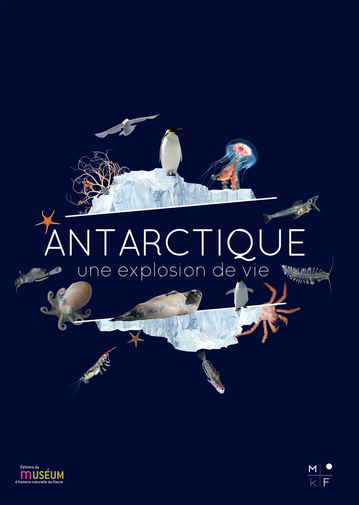 Antarctique. Une explosion de vie