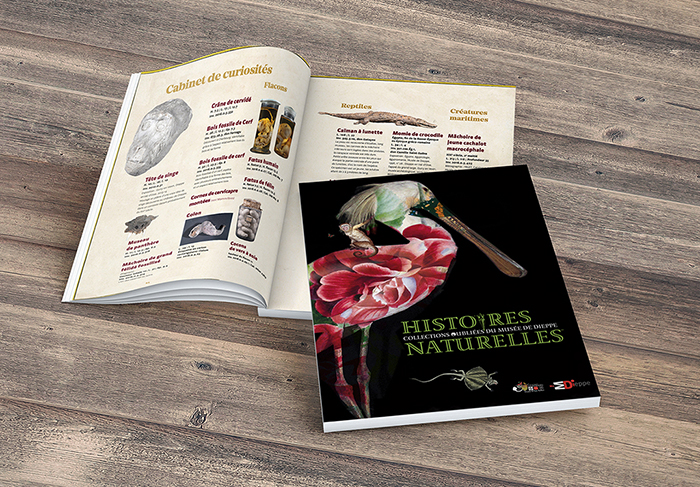 Histoires Naturelles - Collections oubliées du Musée de Dieppe