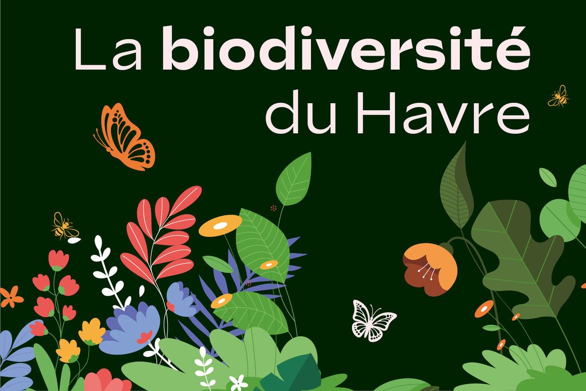 Atlas de la biodiversité du Havre