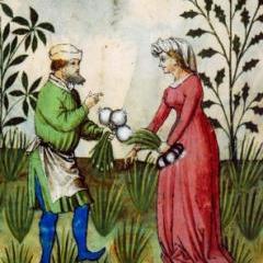 Simples, herbes à pots, céréales et autres plantes