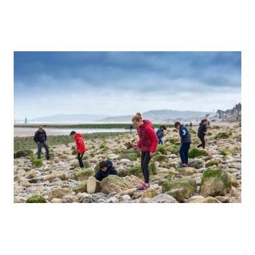 Visite guidée Les Falaises des Vaches Noires
