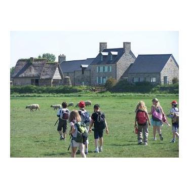 ANIMATION - LES PRES-SALES