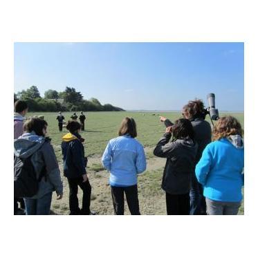 ANIMATION - LES OISEAUX DE LA BAIE