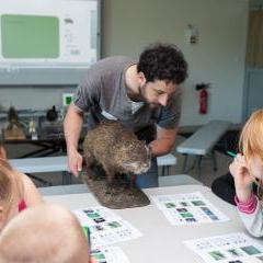 Atelier Classer les animaux du marais