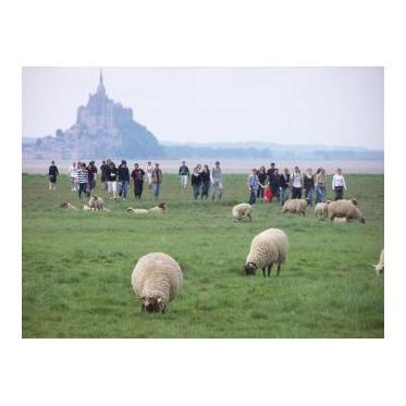 ANIMATION - BIODIVERSITE ET DEVELOPPEMENT DURABLE