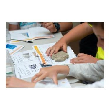 Atelier Fossiles des vaches noires