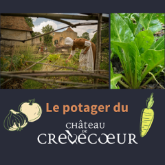 Le potager au Moyen Âge